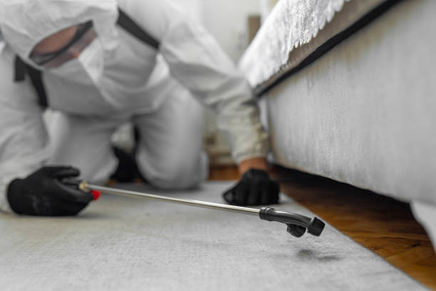 Professional Termite Control technician working in Brockton, MA